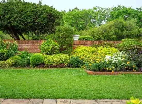 landscaping services Elsmere